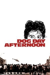Dog Day Afternoon poster