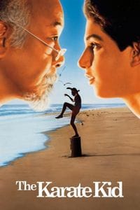 The Karate Kid poster