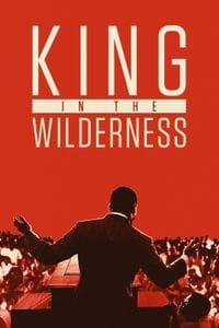 King in the Wilderness poster